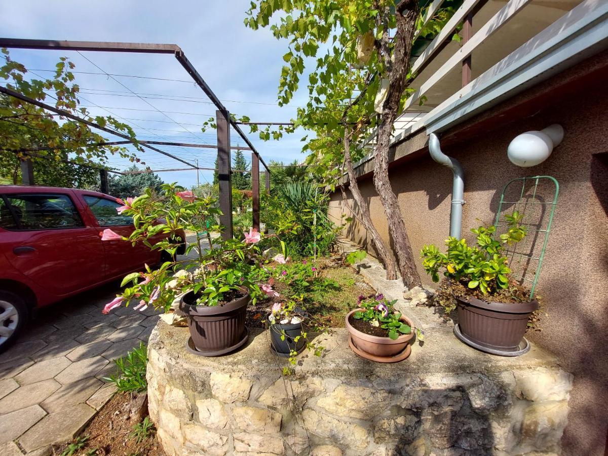 Apartments Vilim Pinezici  Exterior photo